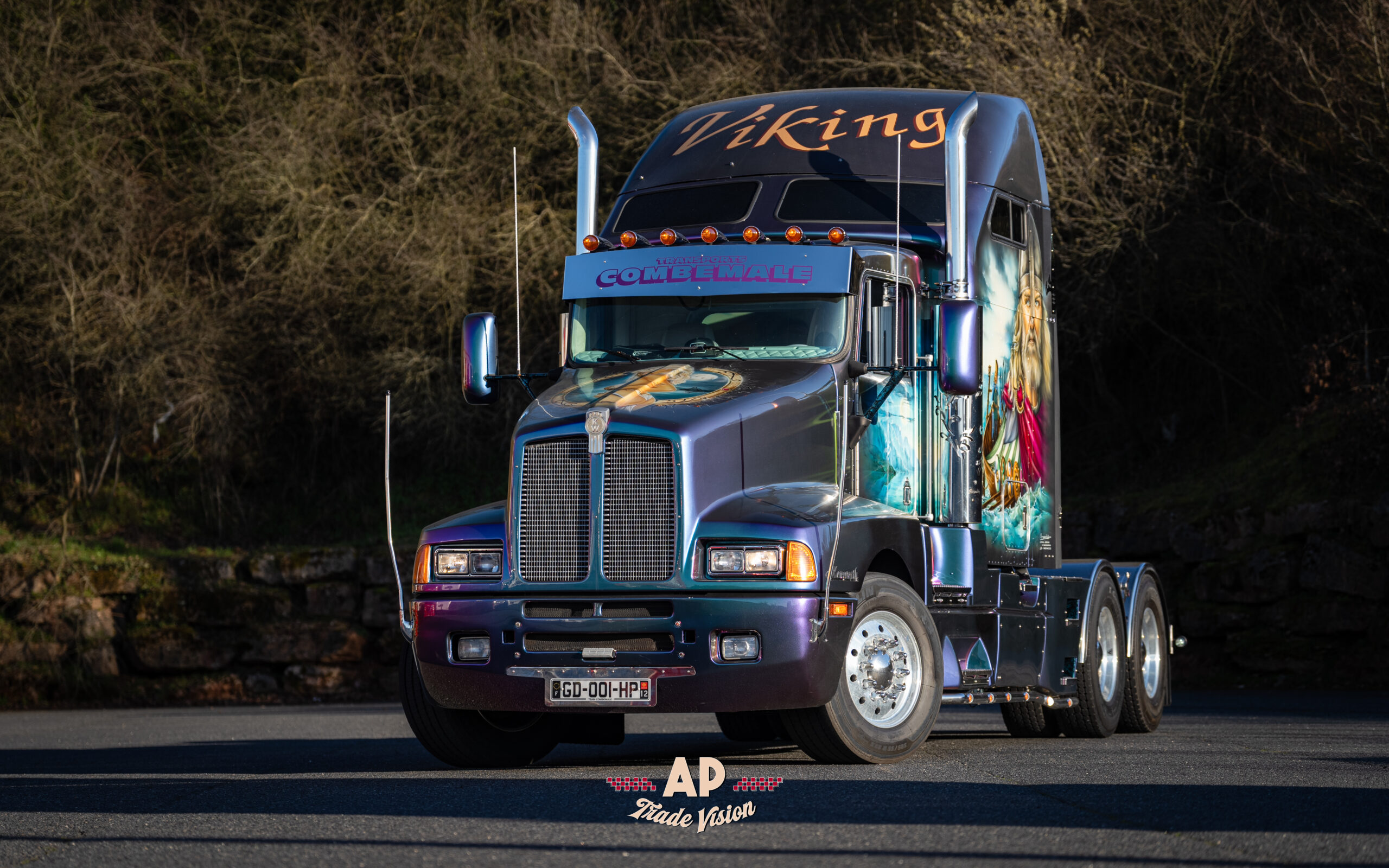 APV03613