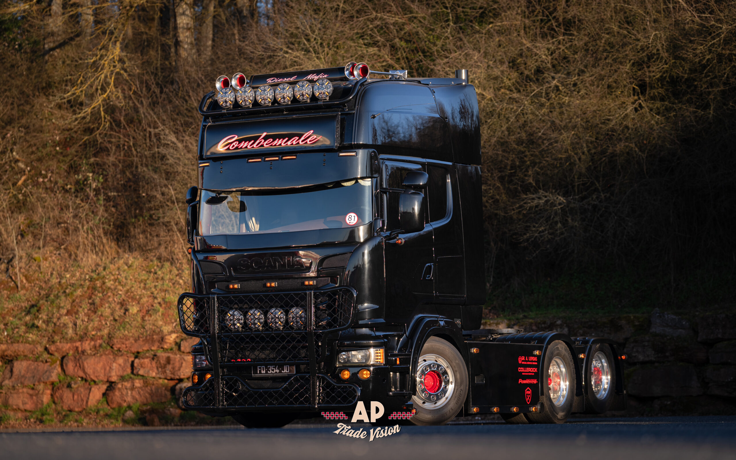 APV03660 (2)